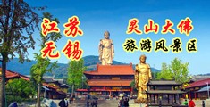 www.熟女江苏无锡灵山大佛旅游风景区